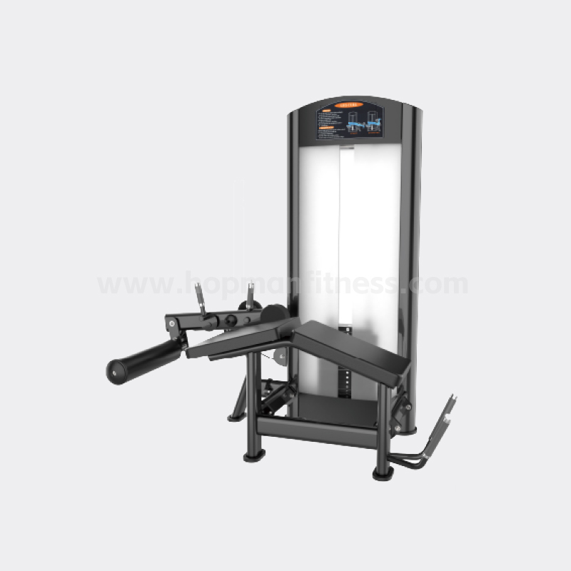 Horizontal Leg Flexing Trainer HXF13Y