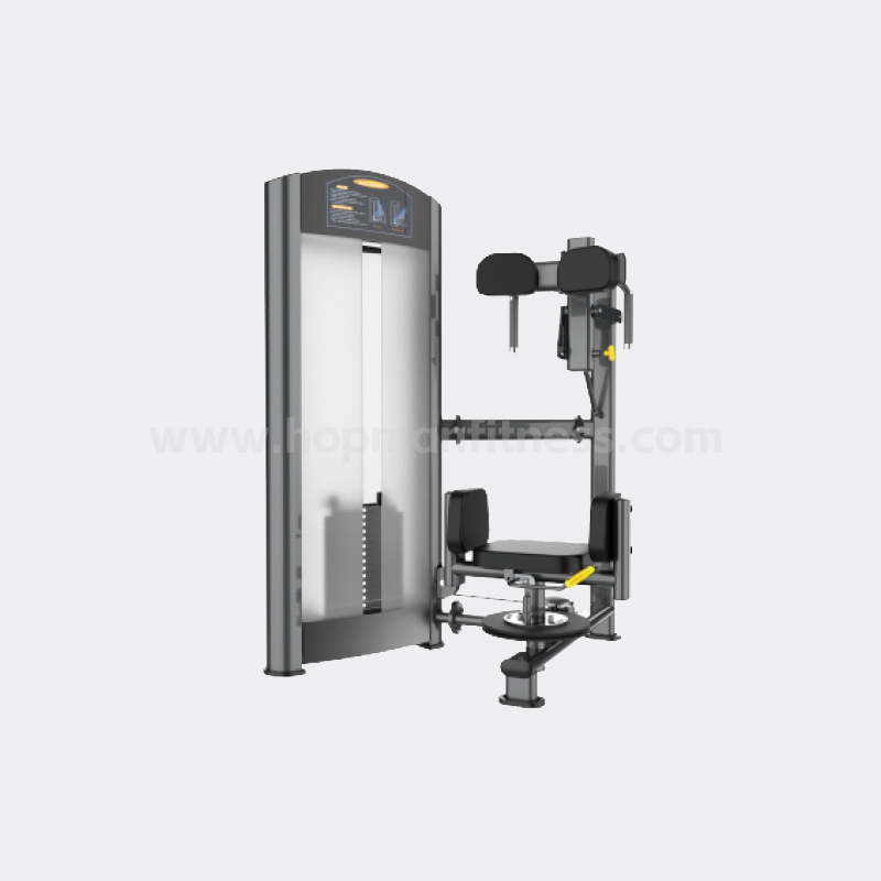 Trunk Rotation Trainer HXF21Y