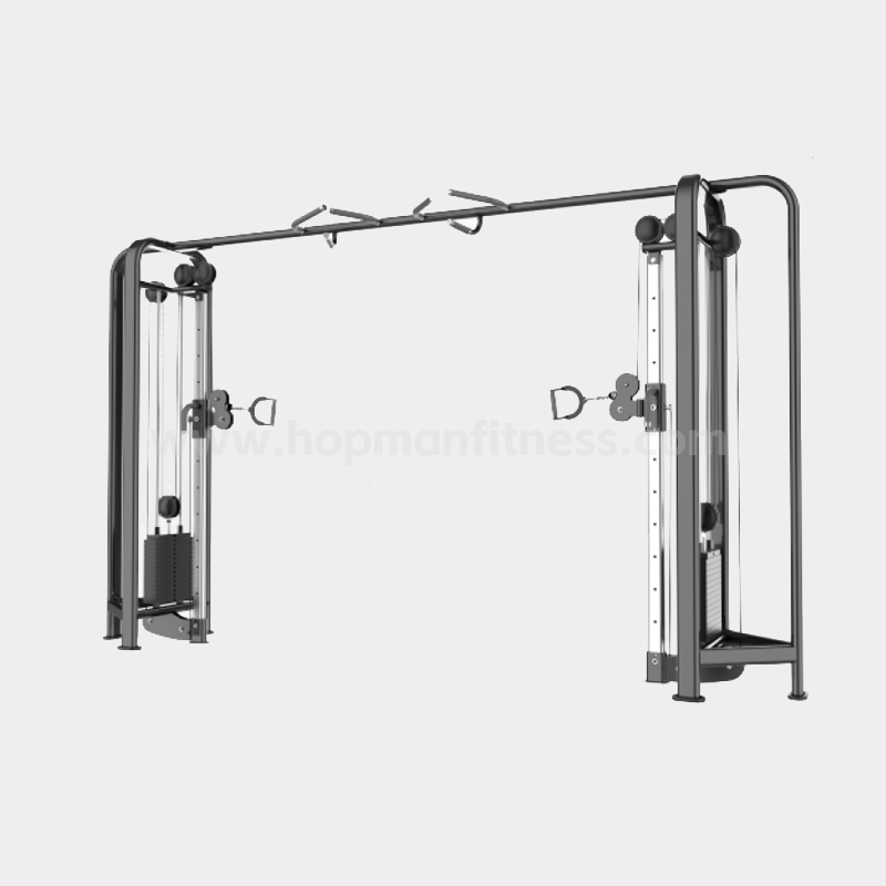 Big Flying Bird HXF23