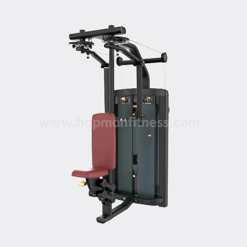 Posterior bundle of pectoral/deltoid muscles HXZ18