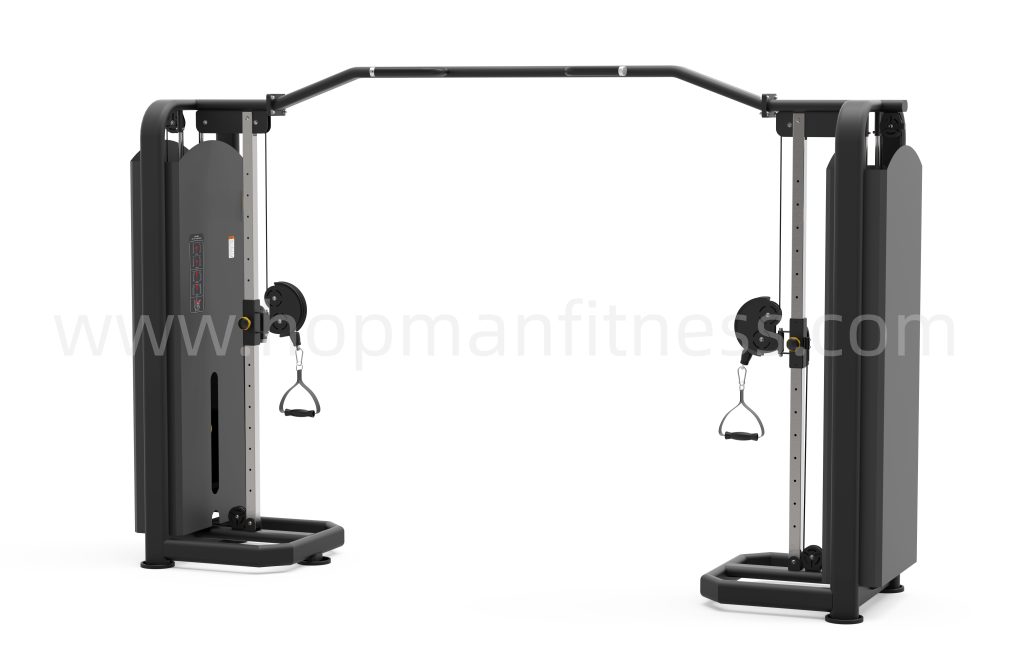 HopMan HX-6118 Flying Bird Trainer