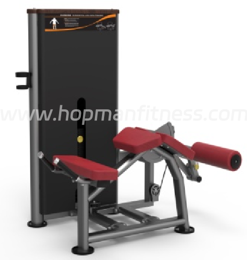 HX-9105 Horizontal Curved Leg Trainer